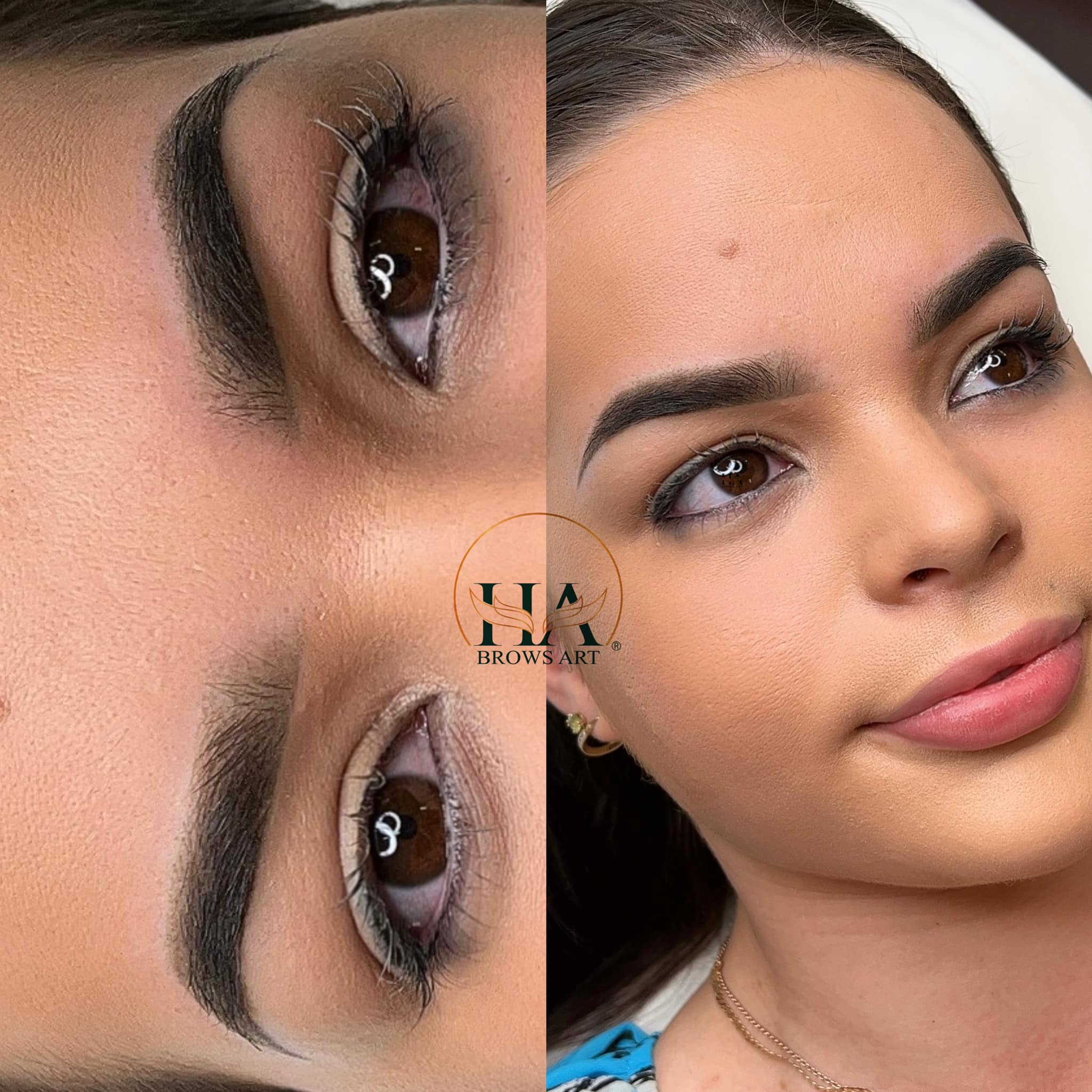 Ha Brows Art